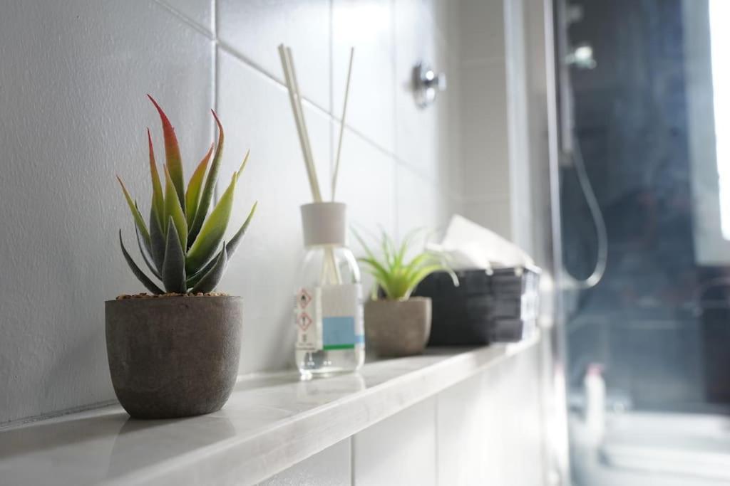 Big Flat Rome Metro C Apartment Ngoại thất bức ảnh